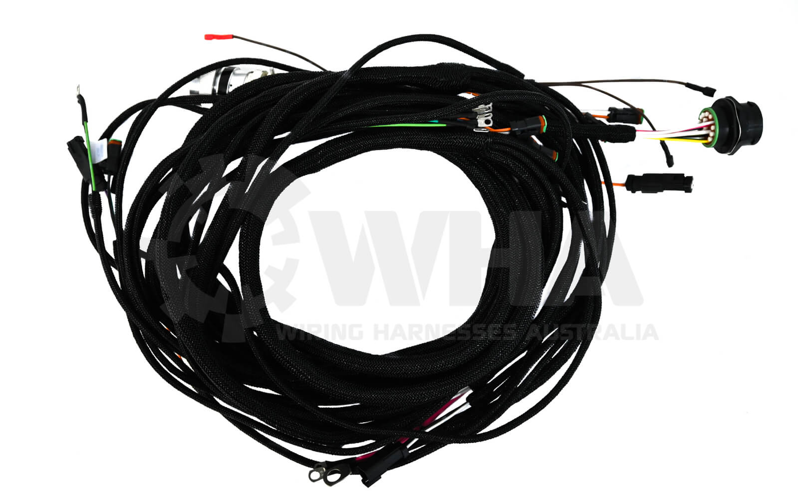 Wiring Harness (Engine) [Suits: Vermeer equipment]